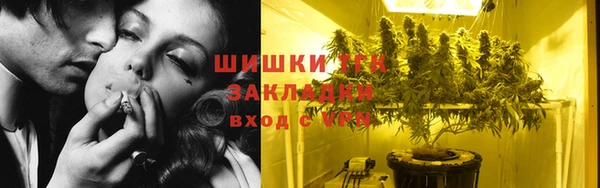дмт Алзамай