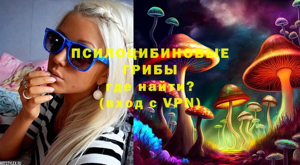 мяу мяу мука Осташков