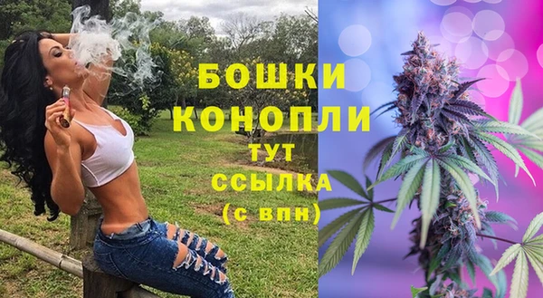 шишки Абдулино