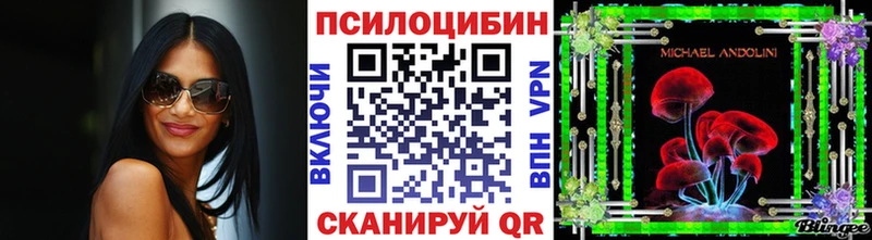 Галлюциногенные грибы Cubensis  где купить наркотик  Пучеж 